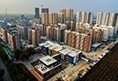 山东省住建厅关于住建行业涉黑涉恶问题主要表现形式